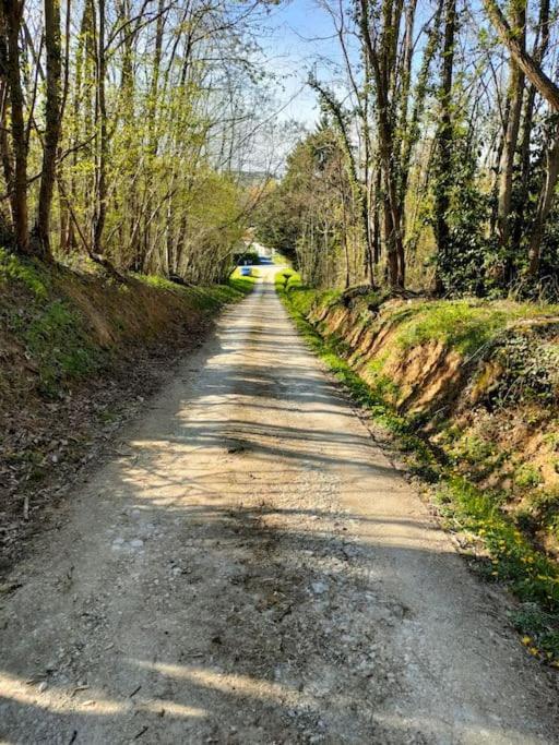 *Gite Aux Grappes Du Pressoir* A 2 Km De Beauval Seigy Exterior foto