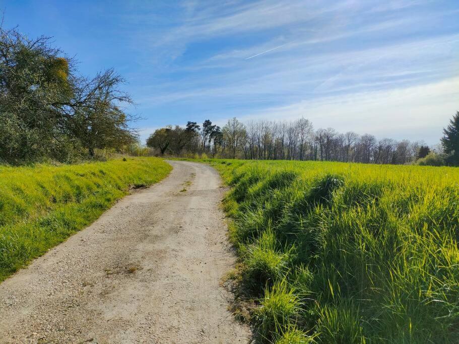 *Gite Aux Grappes Du Pressoir* A 2 Km De Beauval Seigy Exterior foto